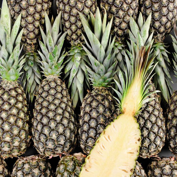 Ananas tropicaux
