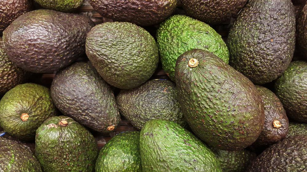 Avocats frais