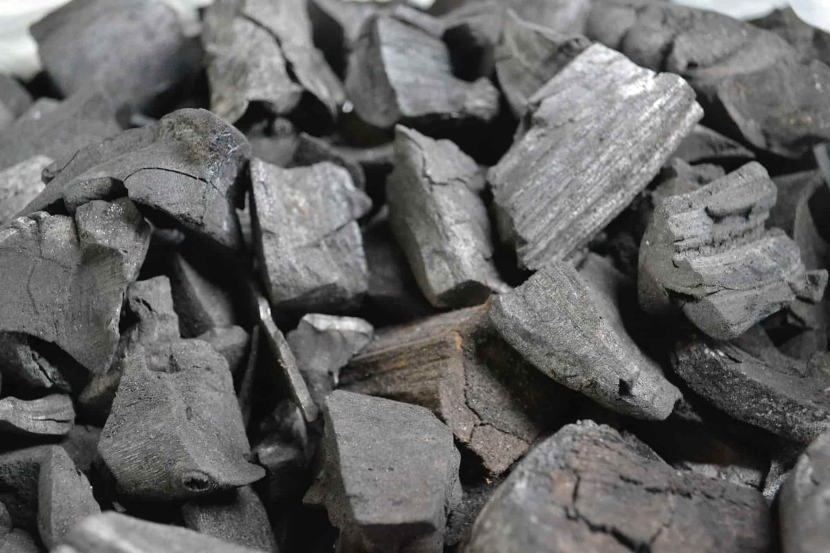Charbon de bois